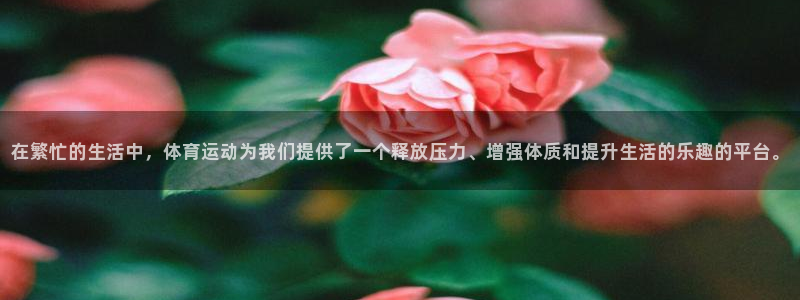 xc体育app官方网站：在繁忙的生活中，体育运动为我们提供了一个释放压力、增强体质和提升生活的乐趣的平台。