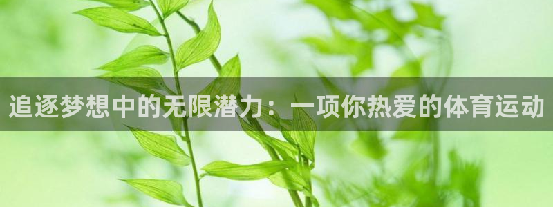 xc体育：追逐梦想中的无限潜力：一项你热爱的体育运动