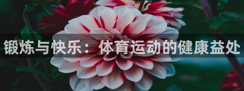 xc体育