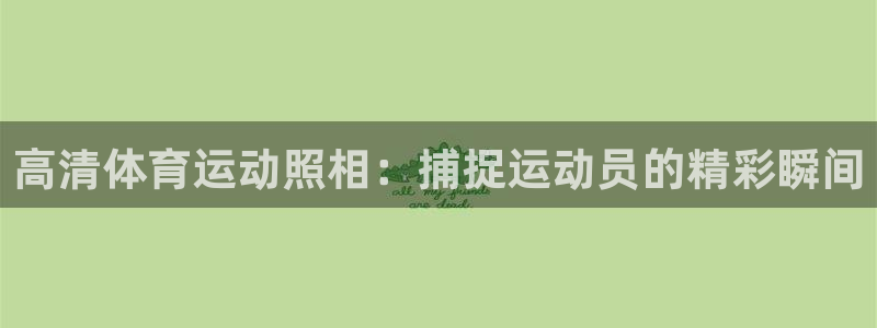 xc体育：高清体育运动照相：捕捉运动员的精彩瞬间