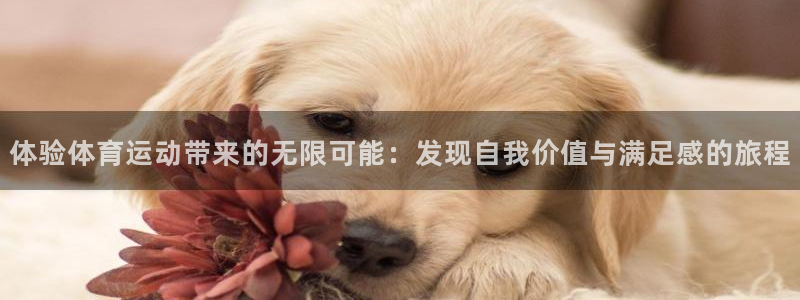 xc体育：体验体育运动带来的无限可能：发现自我价值与满足感的旅程