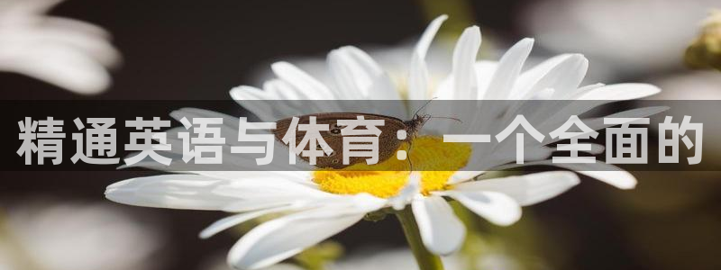 xc体育：精通英语与体育：一个全面的