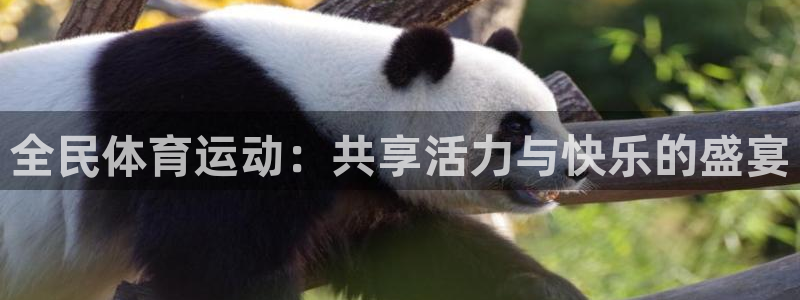 xc体育app官方网站：全民体育运动：共享活力与快乐的盛宴
