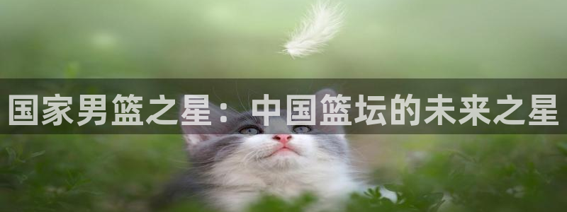 xc体育：国家男篮之星：中国篮坛的未来之星