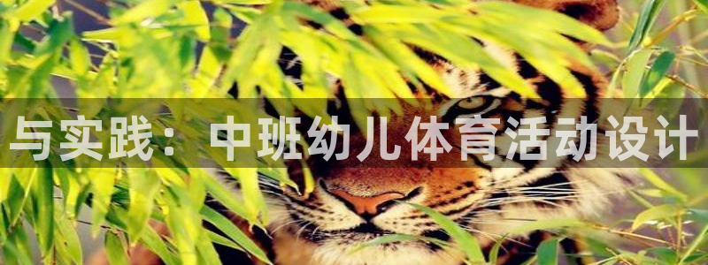 xc体育app官方网站：与实践：中班幼儿体育活动设计