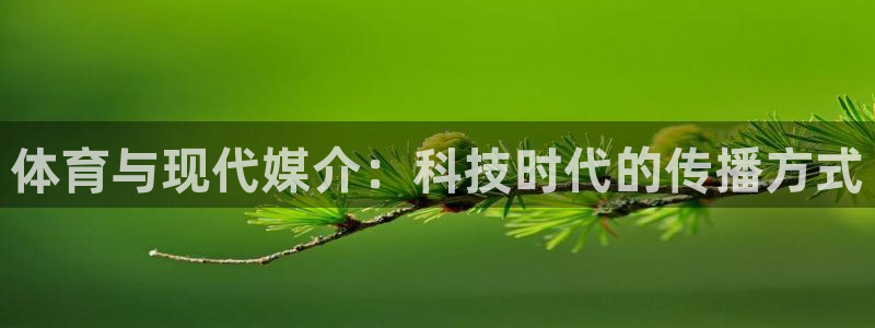 xc体育app官方网站：体育与现代媒介：科技时代的传播方式