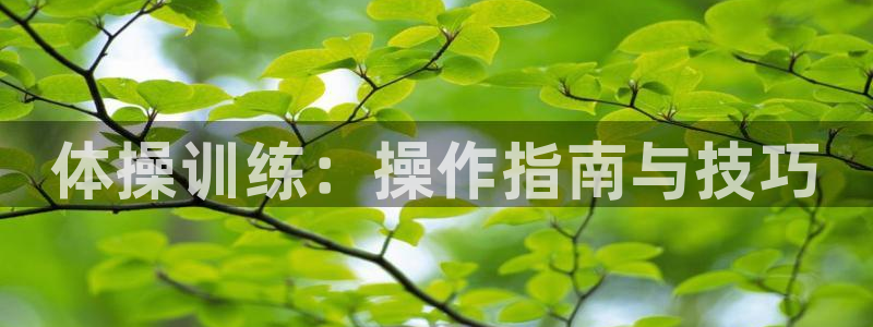 xc体育app官方网站：体操训练：操作指南与技巧