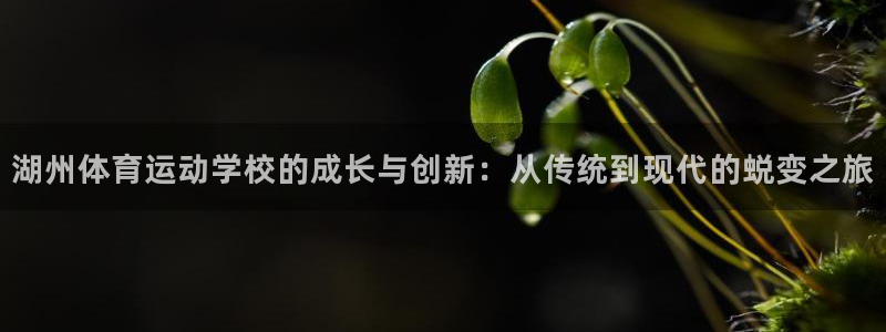 xc体育app官方网站：湖州体育运动学校的成长与创新：从传统到现代的蜕变之旅